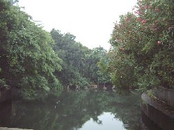�縫��